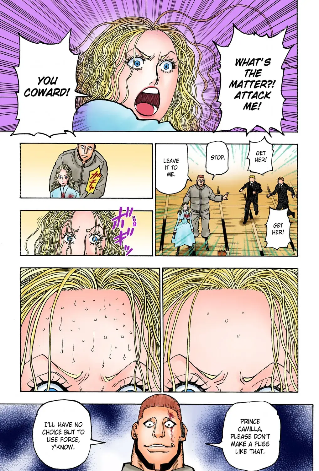 Hunter x Hunter Colored Manga, chapter 373, page 25