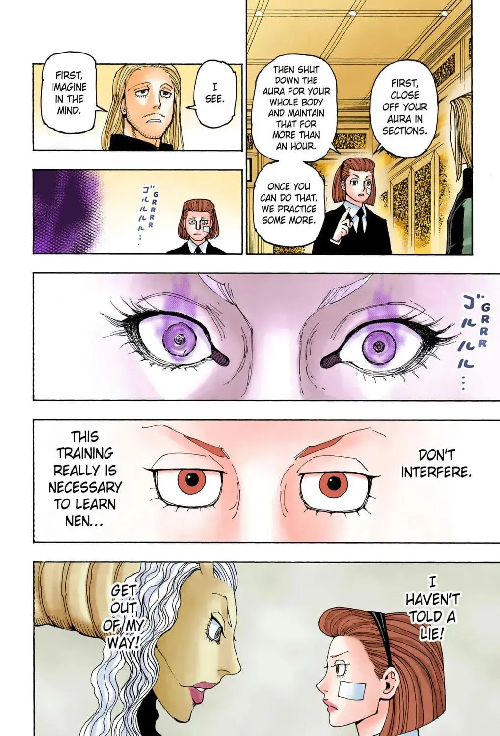Hunter x Hunter Colored Manga, chapter 384, page 29