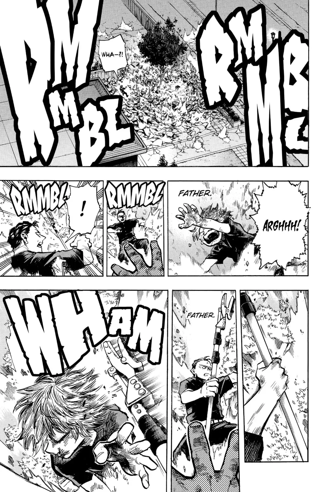 My Hero Academia, chapter 236, page 11
