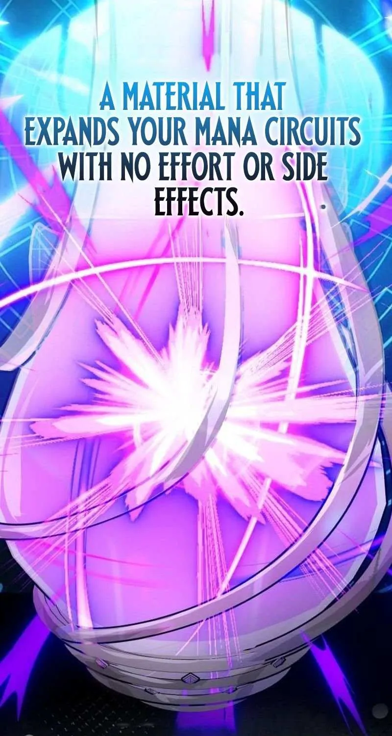 A Genius Wizard Who Breaks Boundaries, chapter 36, page 11