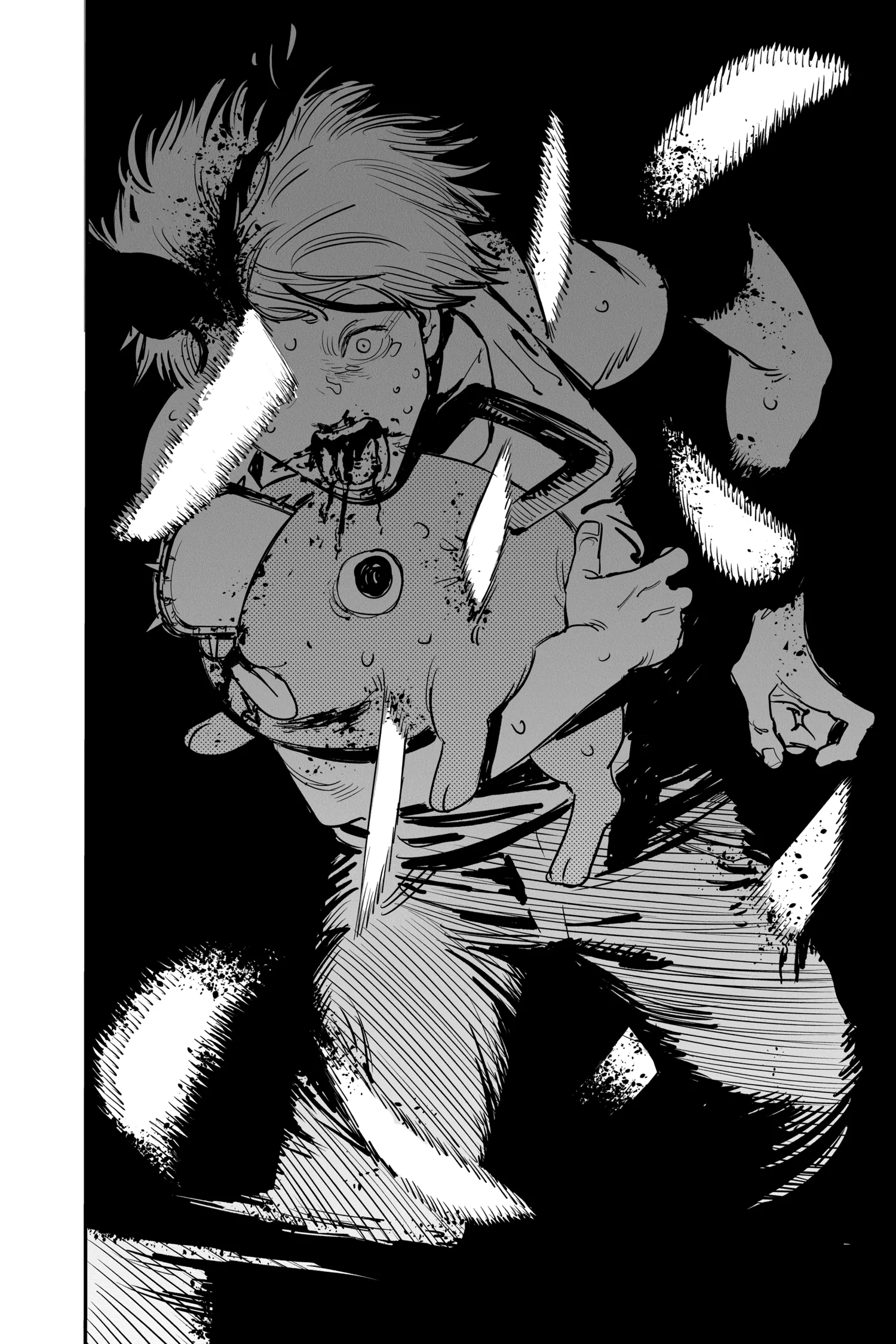 Chainsaw Man Manga, chapter Vol 1, page 29