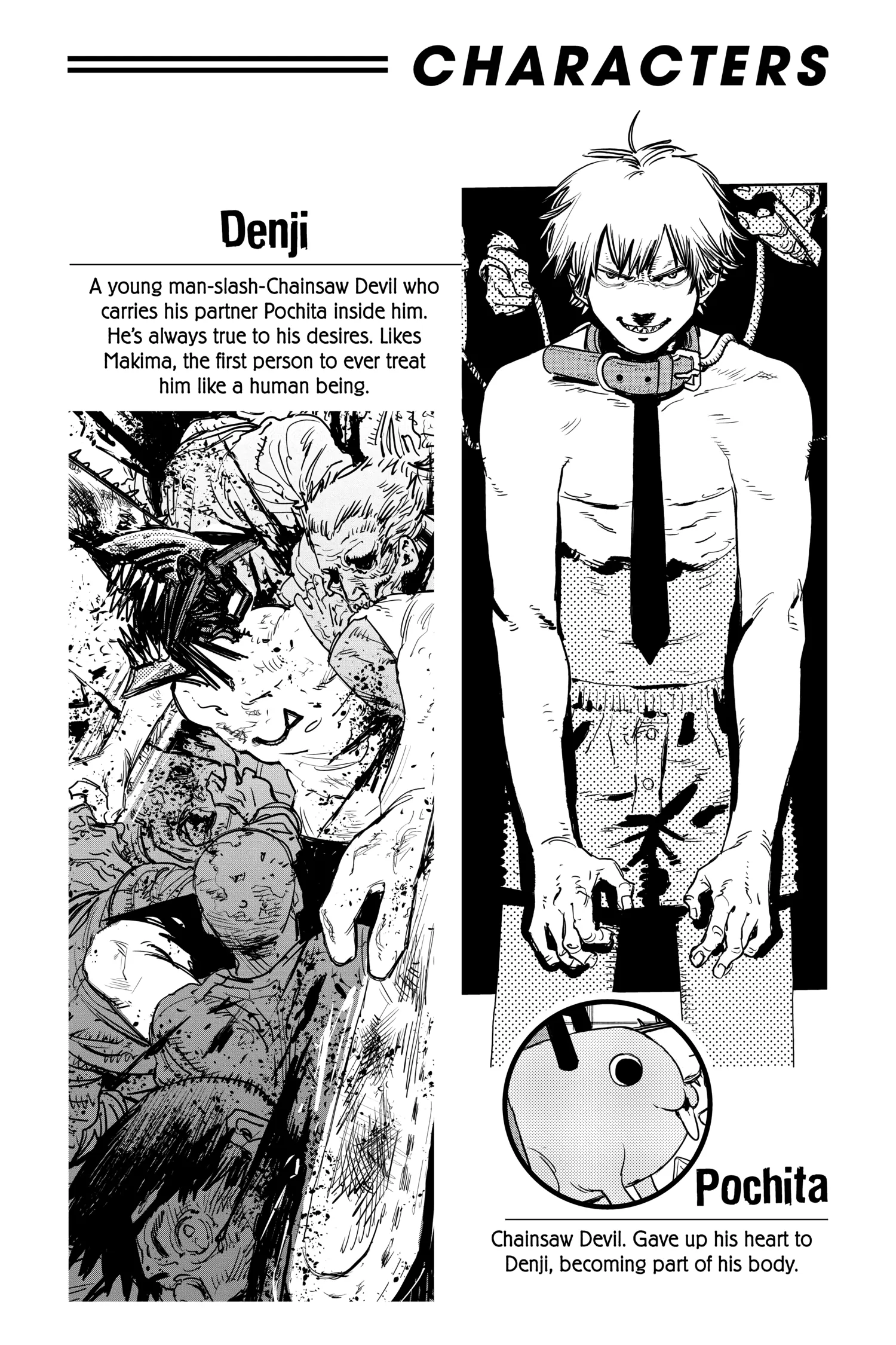 Chainsaw Man Manga, chapter Vol 2, page 5