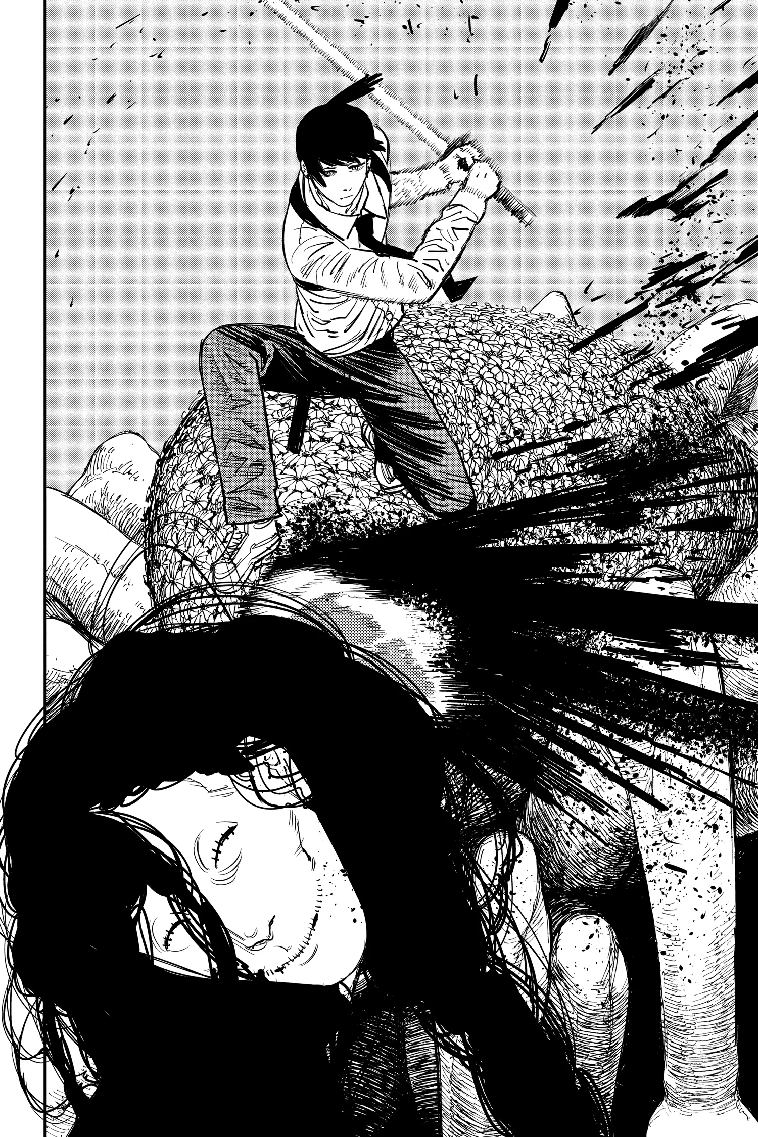 Chainsaw Man Manga, chapter Vol 5, page 23