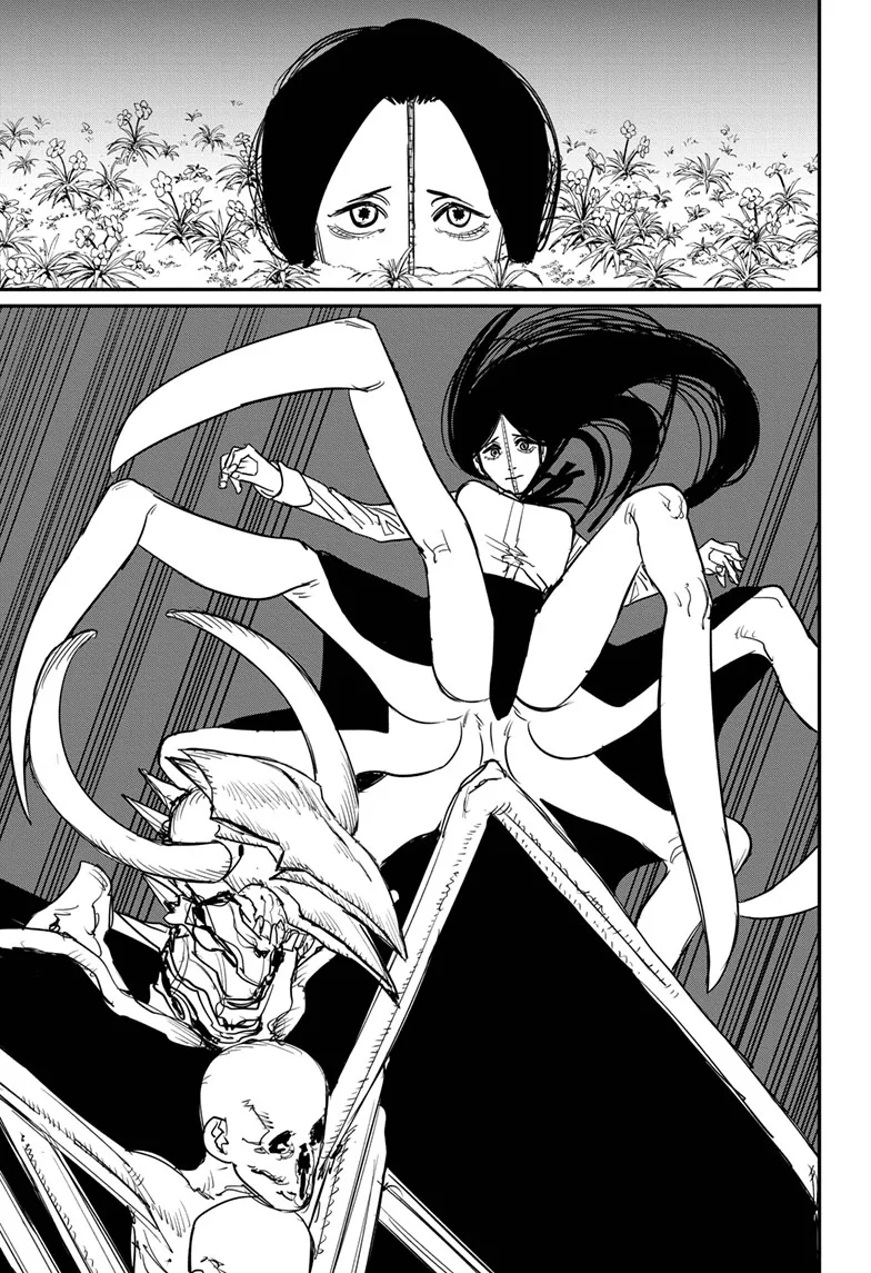 Chainsaw Man Manga, chapter 66, page 3