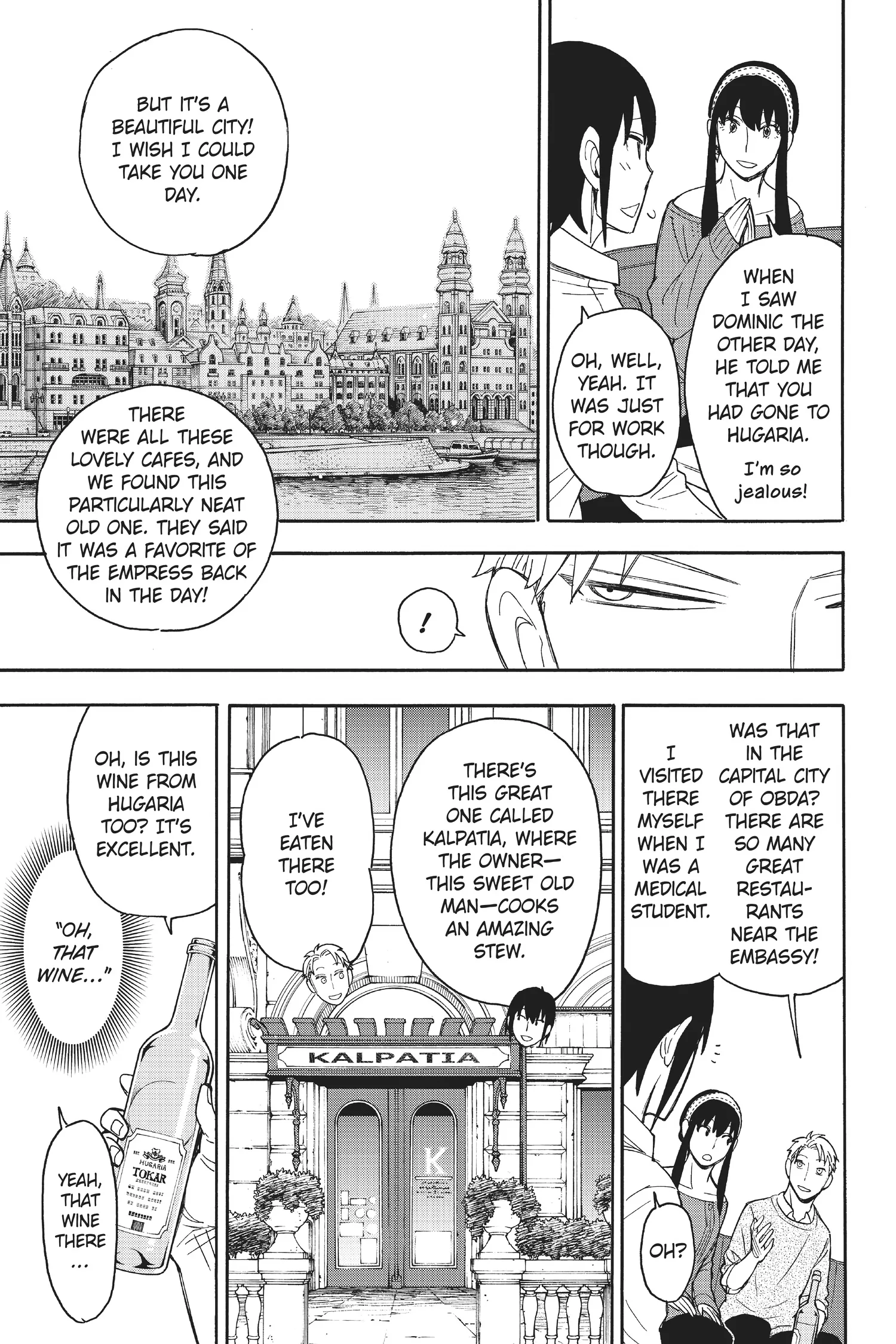 SPY x FAMILY Manga, chapter Vol 3, page 17