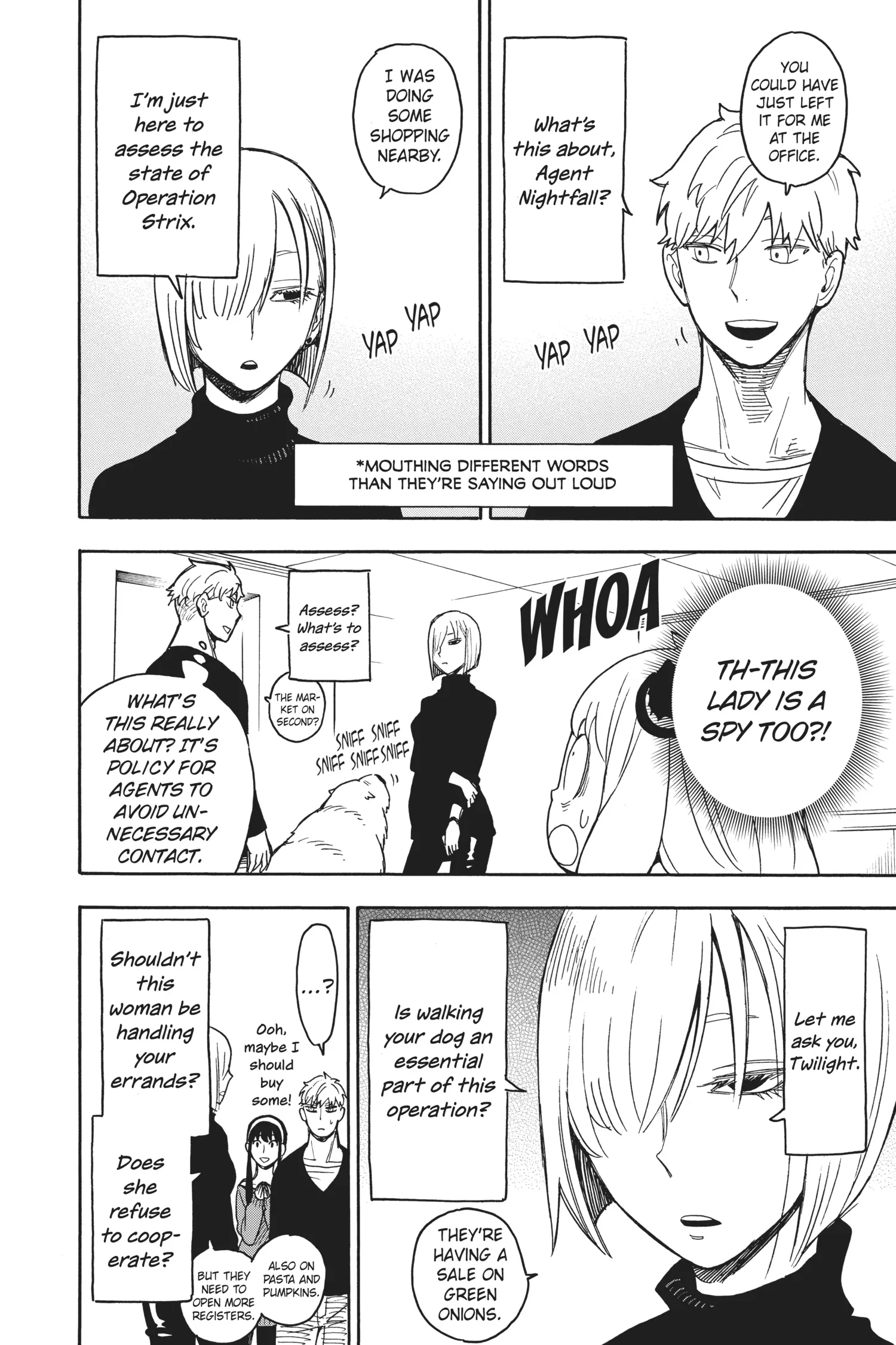SPY x FAMILY Manga, chapter Vol 5, page 165