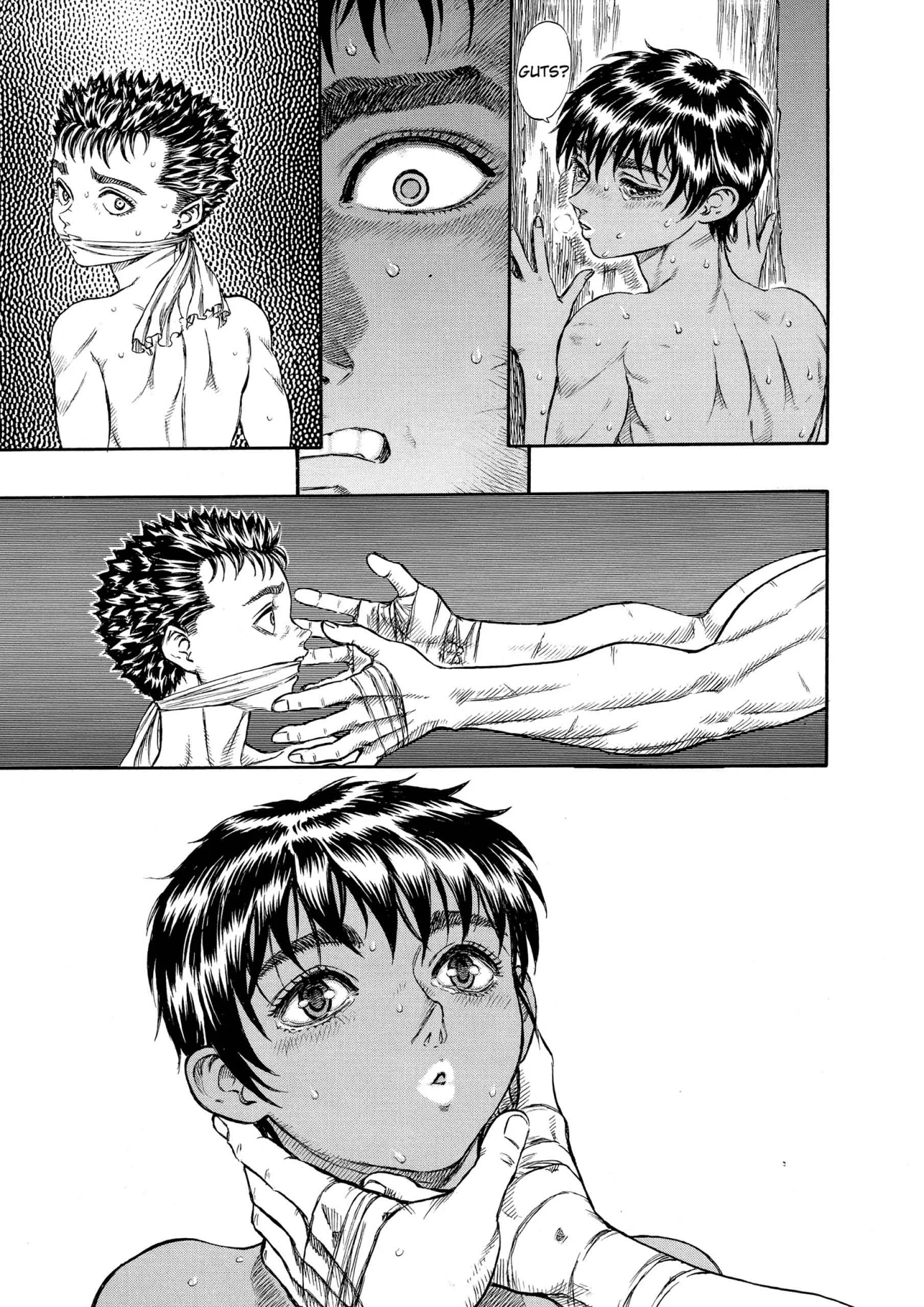 Berserk Manga, chapter Vol 9, page 213