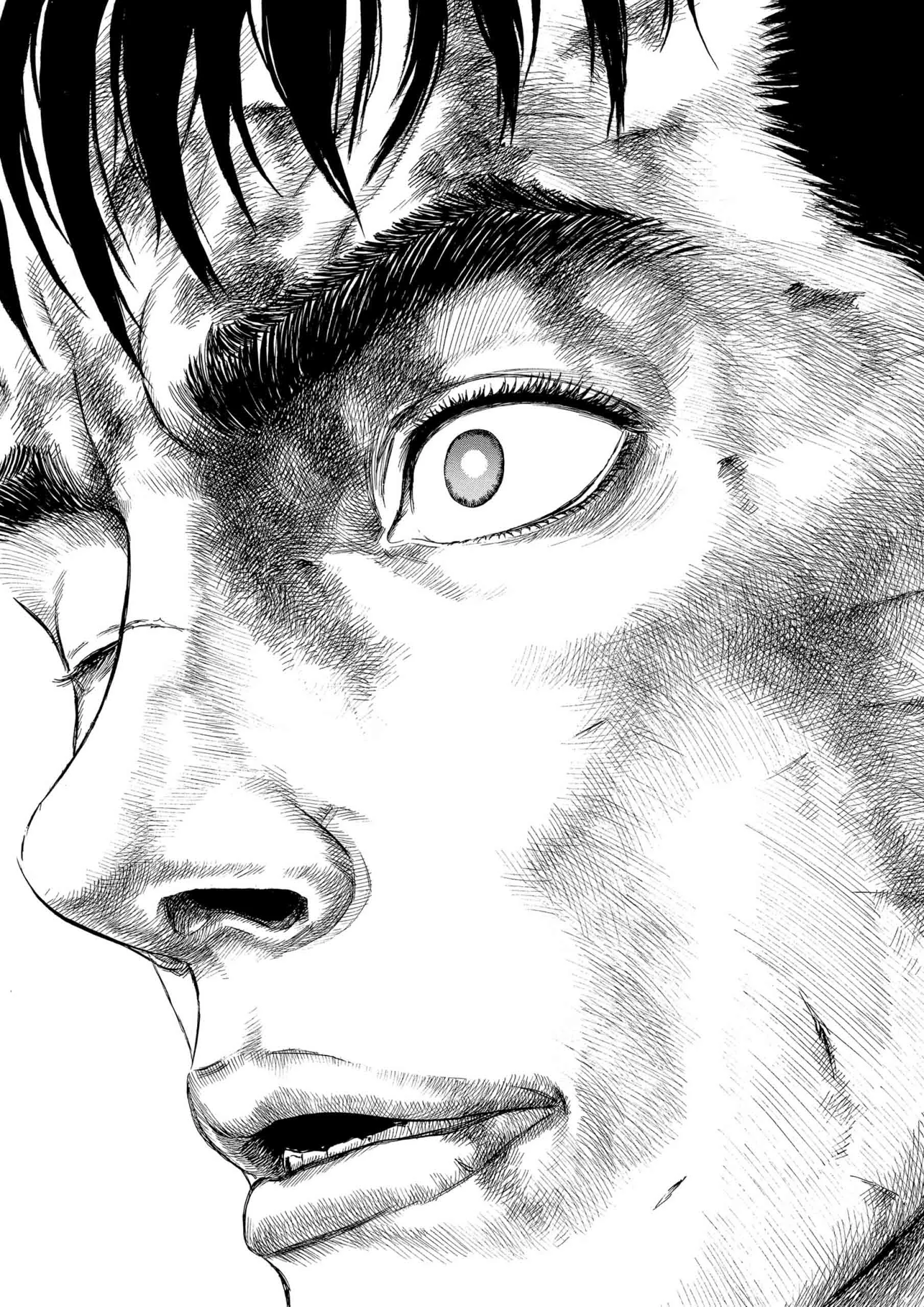 Berserk Manga, chapter Vol 21, page 176