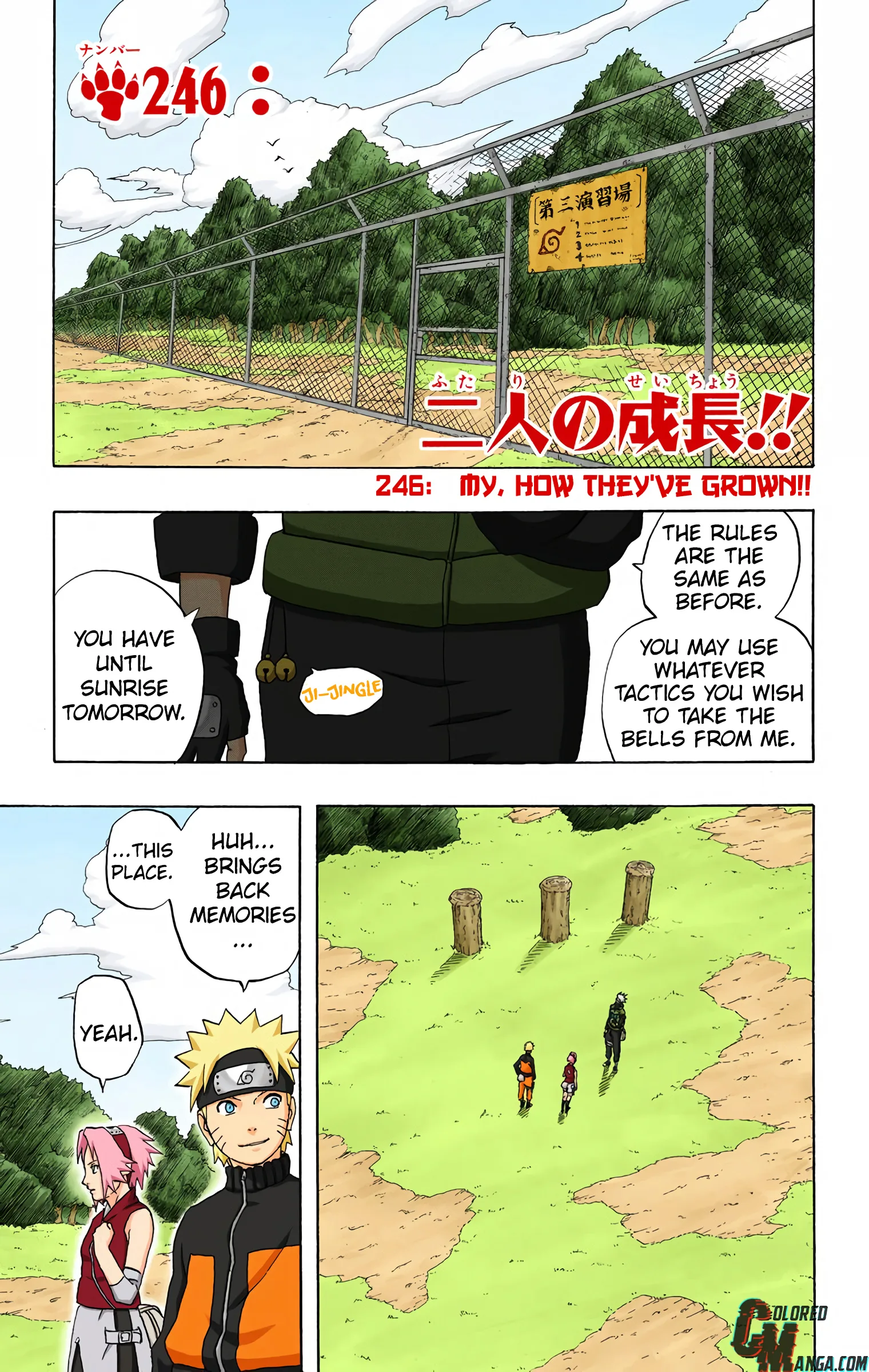 Naruto Colored Manga Online, chapter 246, page 1