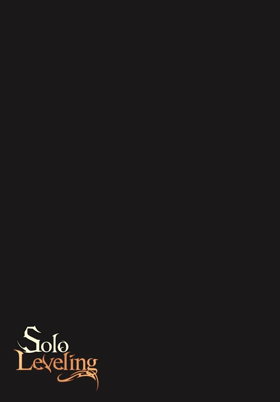 Solo Leveling, chapter Vol 13, page 5