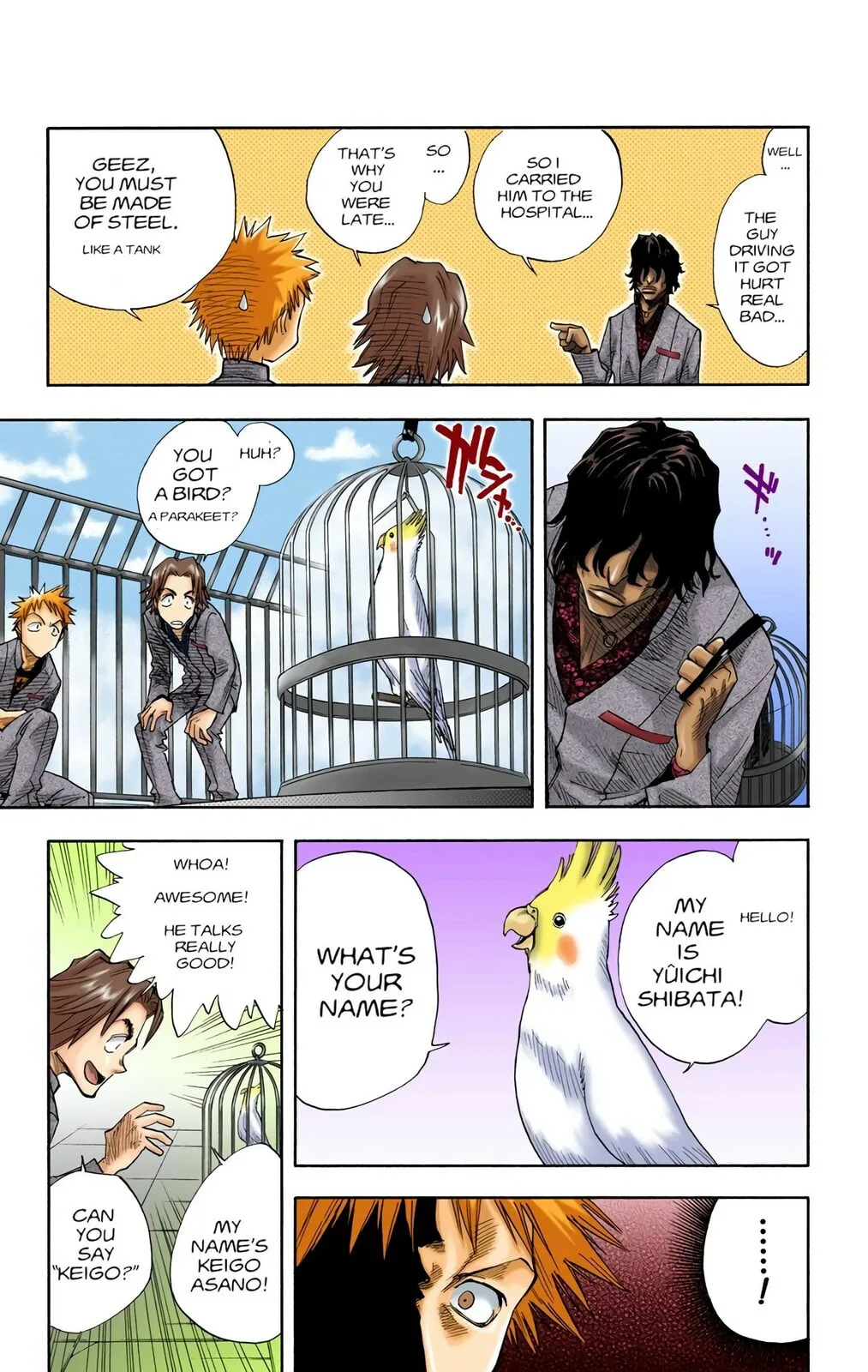 Bleach Colored Manga, chapter 7, page 13