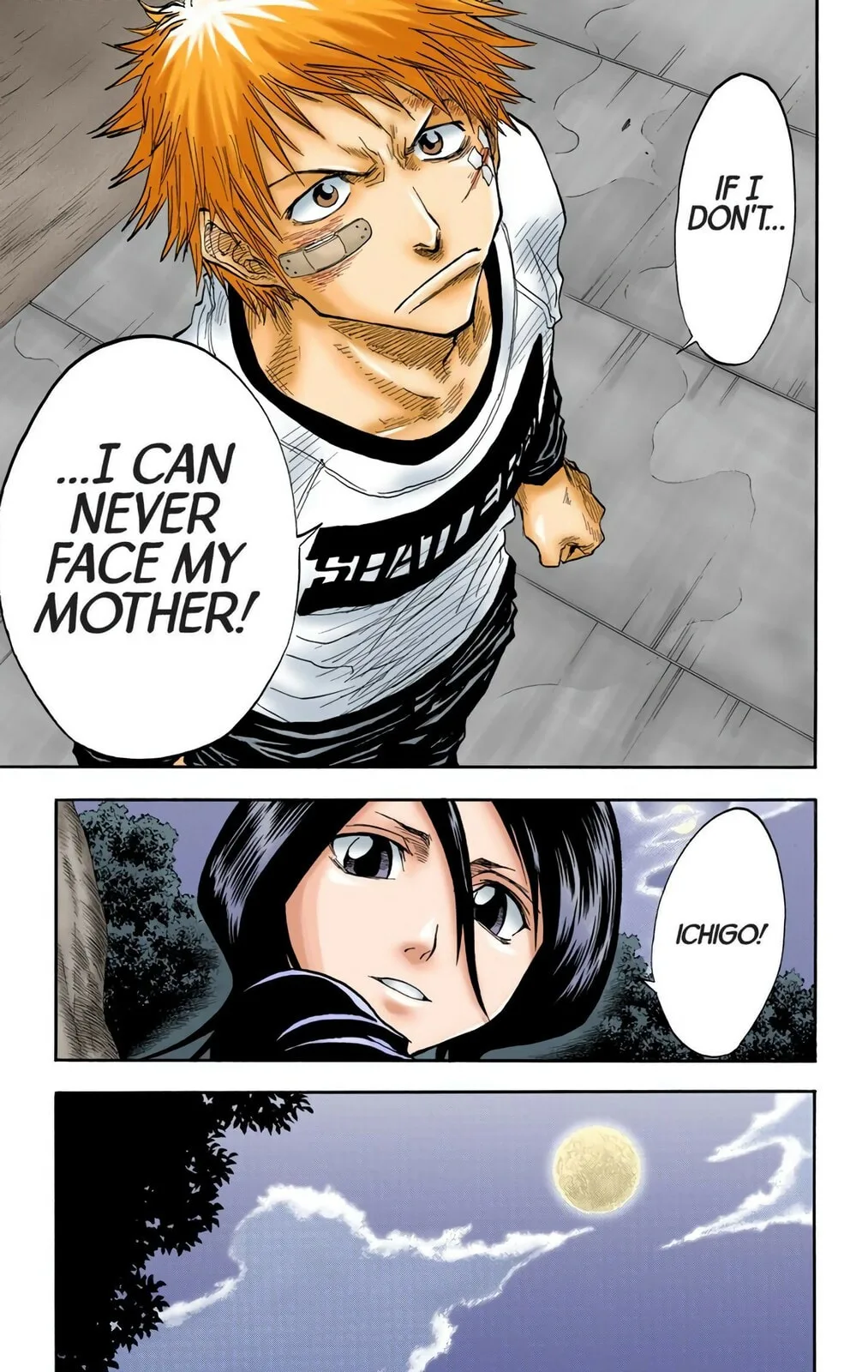 Bleach Colored Manga, chapter 25, page 16