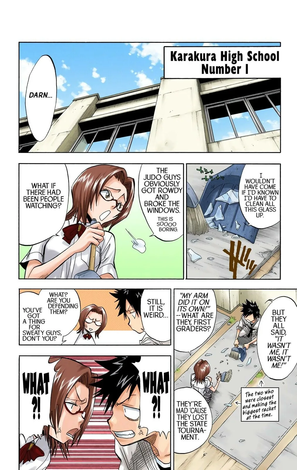 Bleach Colored Manga, chapter 40, page 15