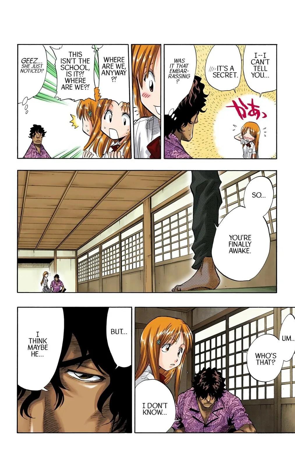 Bleach Colored Manga, chapter 44, page 4