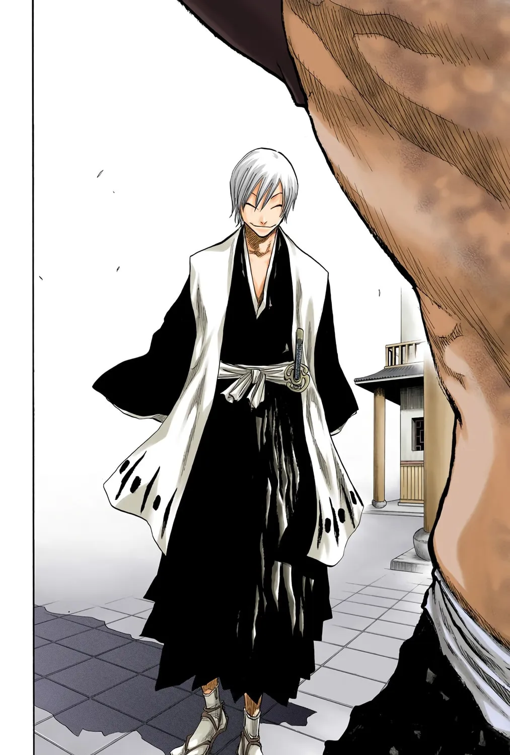 Bleach Colored Manga, chapter 74, page 31