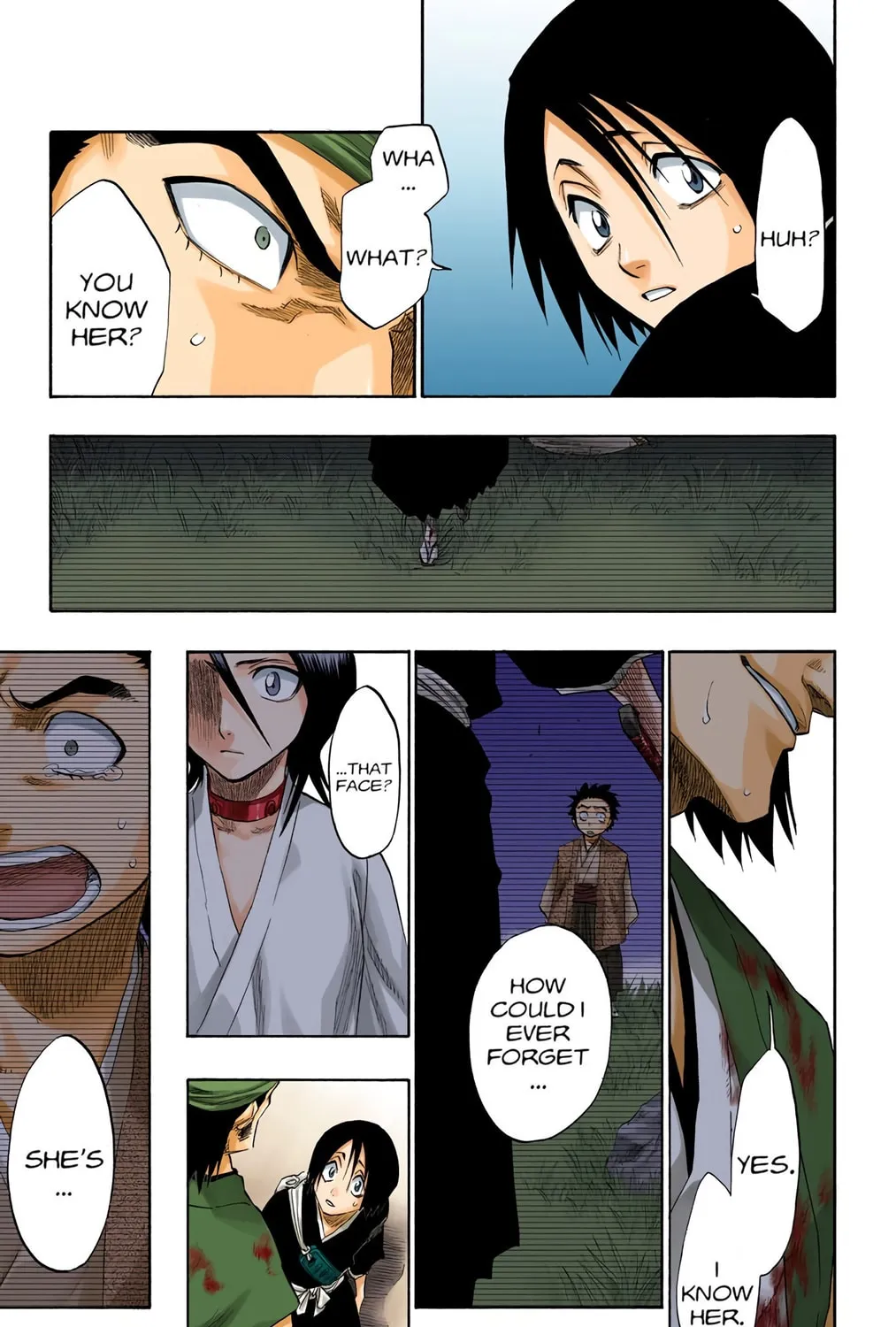 Bleach Colored Manga, chapter 115, page 25