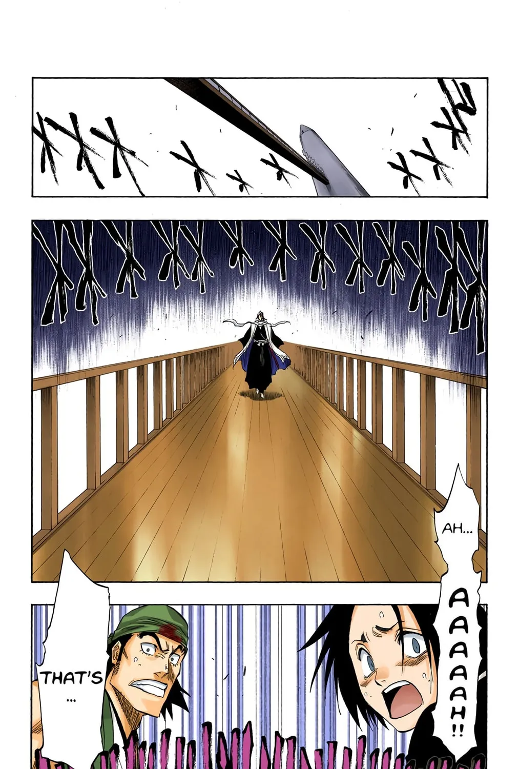 Bleach Colored Manga, chapter 116, page 7