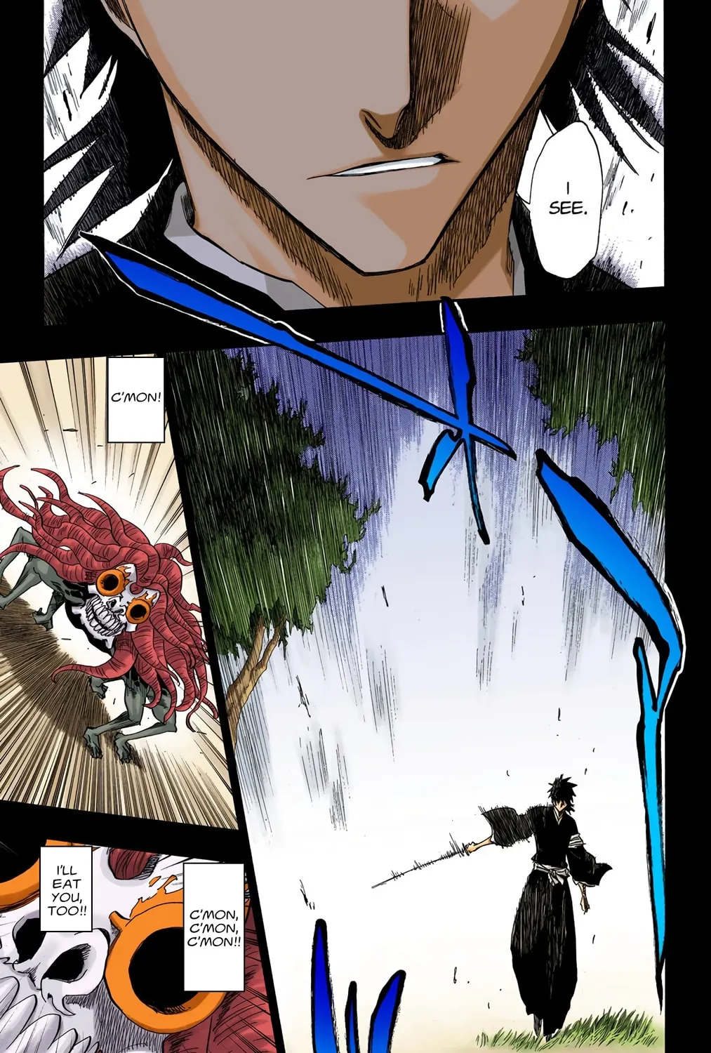 Bleach Colored Manga, chapter 135, page 13