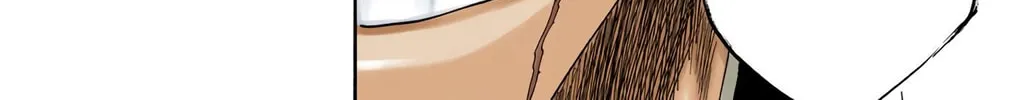 Bleach Colored Manga, chapter 148, page 4
