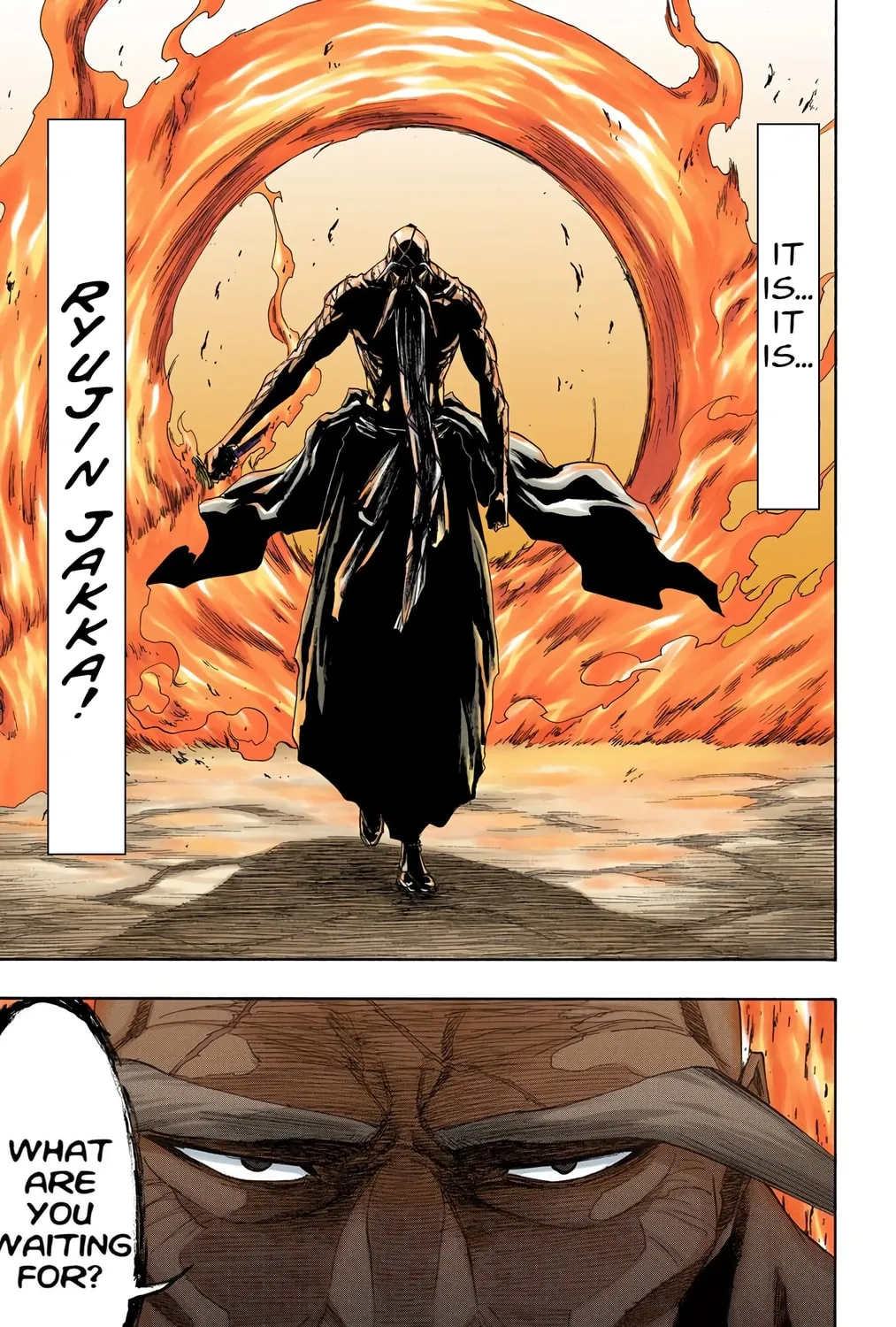 Bleach Colored Manga, chapter 156, page 15