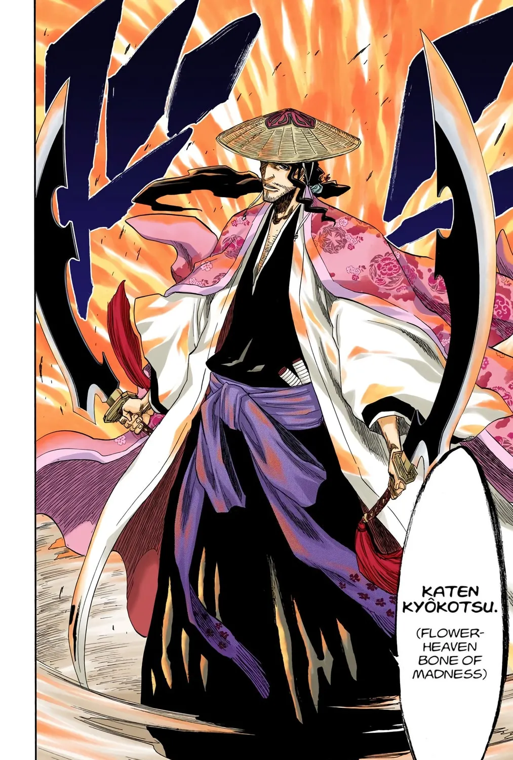 Bleach Colored Manga, chapter 156, page 25