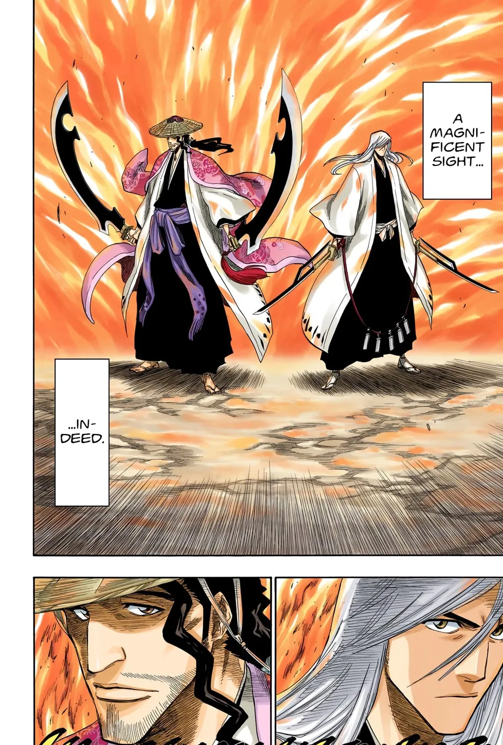Bleach Colored Manga, chapter 156, page 29