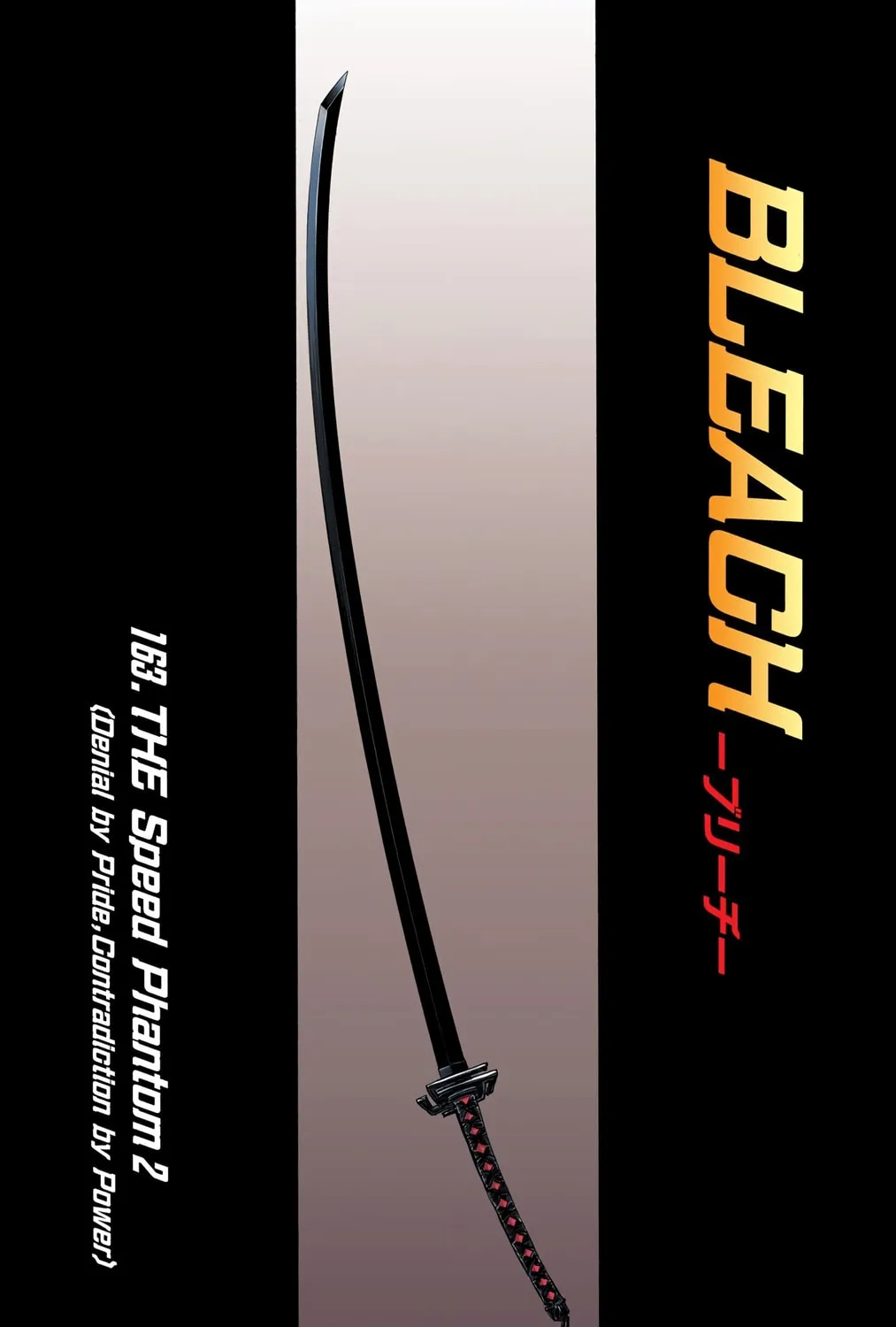 Bleach Colored Manga, chapter 163, page 13