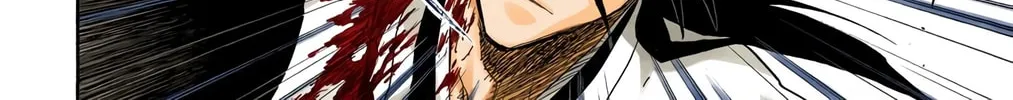 Bleach Colored Manga, chapter 166, page 12