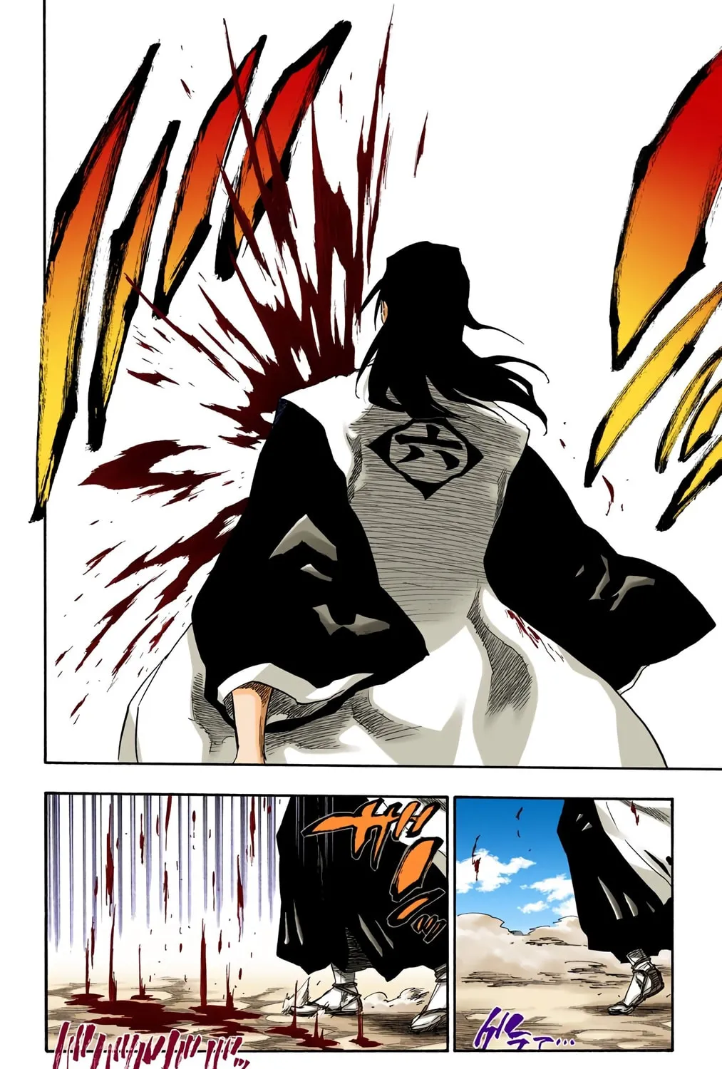 Bleach Colored Manga, chapter 167, page 9