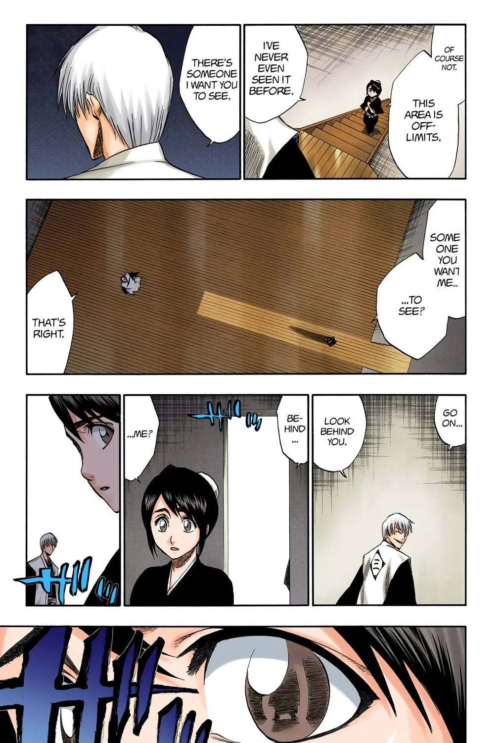 Bleach Colored Manga, chapter 169, page 17