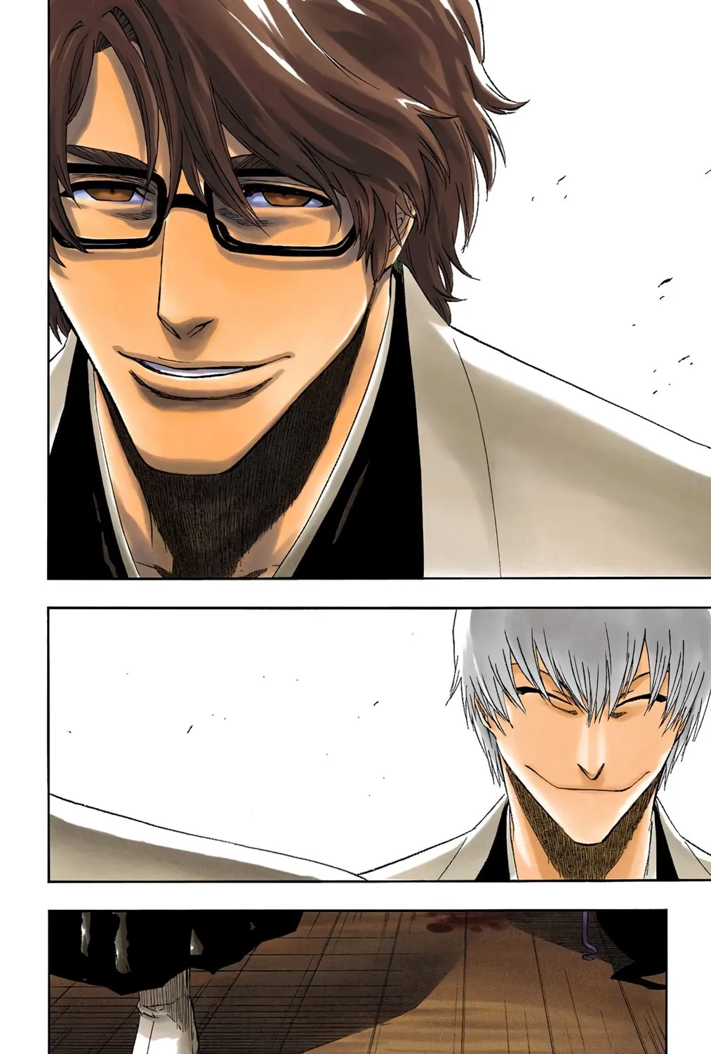 Bleach Colored Manga, chapter 170, page 5