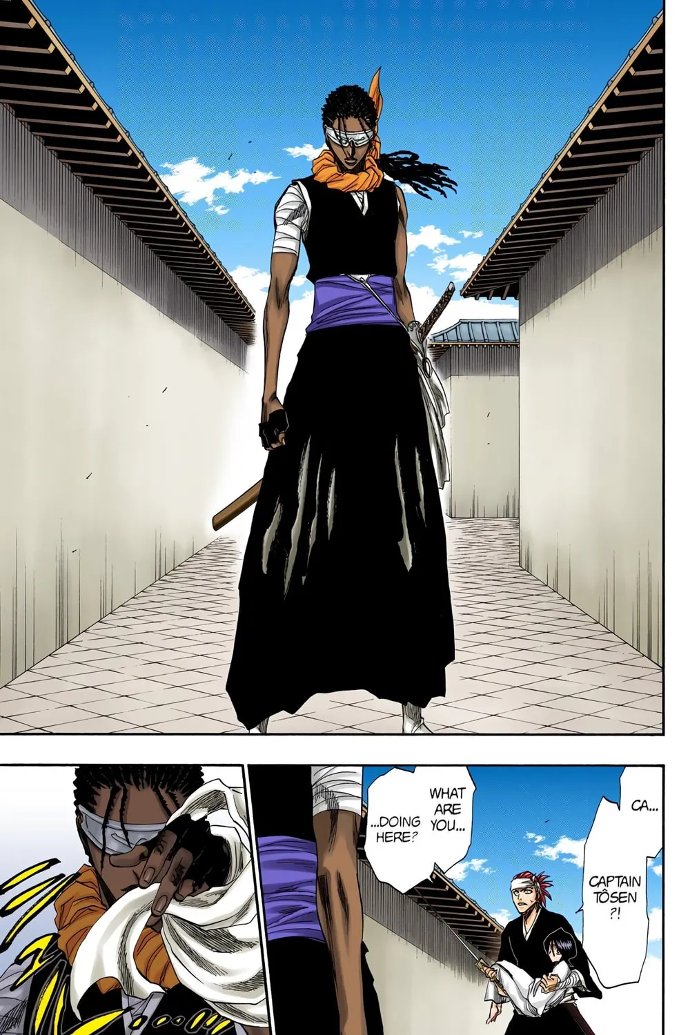 Bleach Colored Manga, chapter 171, page 29