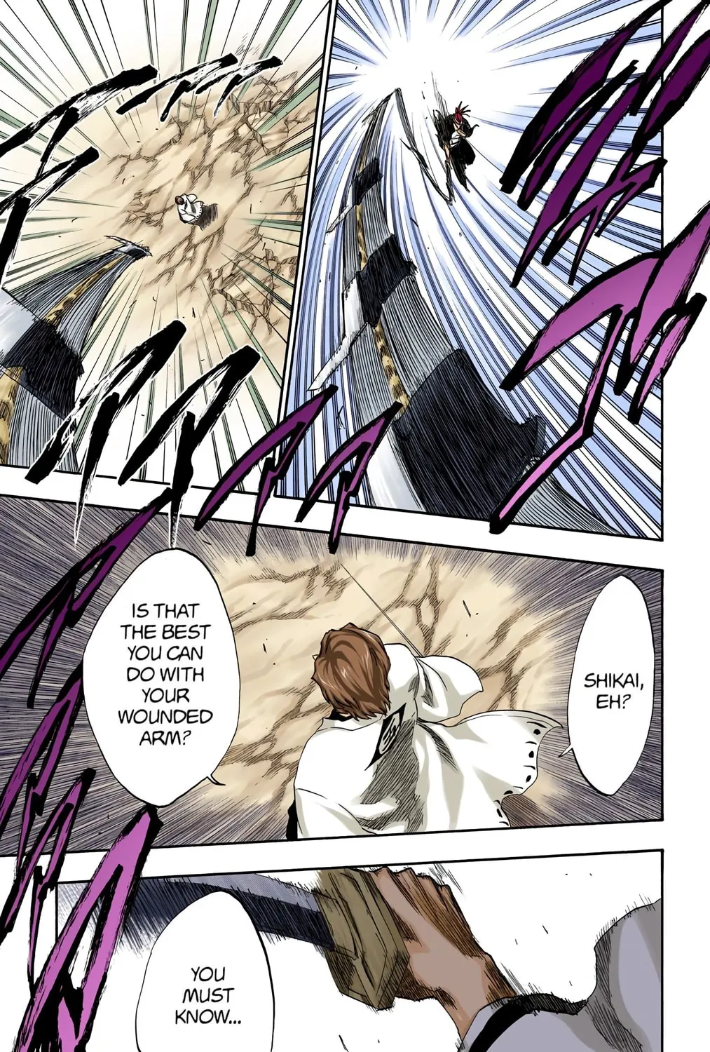 Bleach Colored Manga, chapter 173, page 17