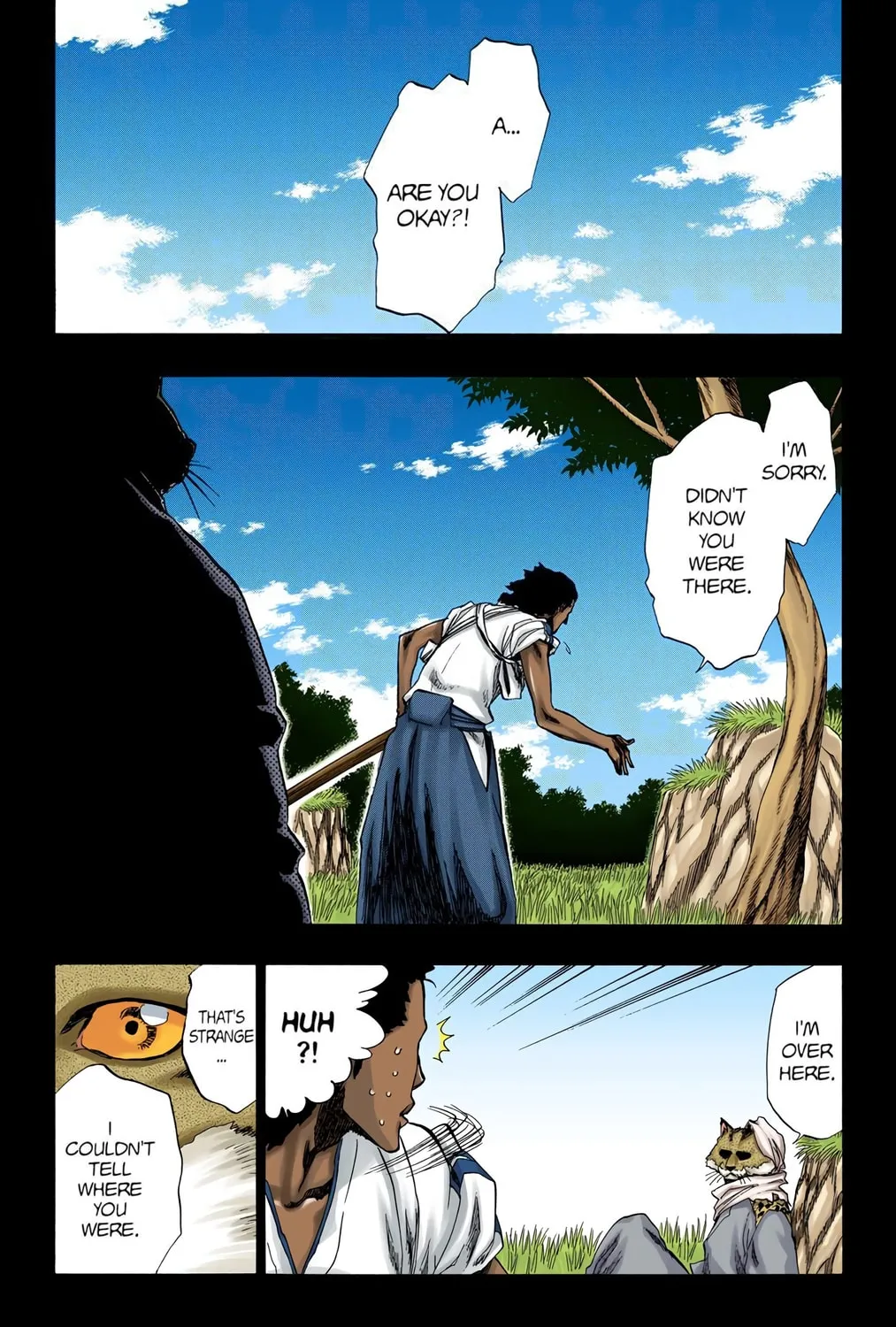 Bleach Colored Manga, chapter 176, page 3