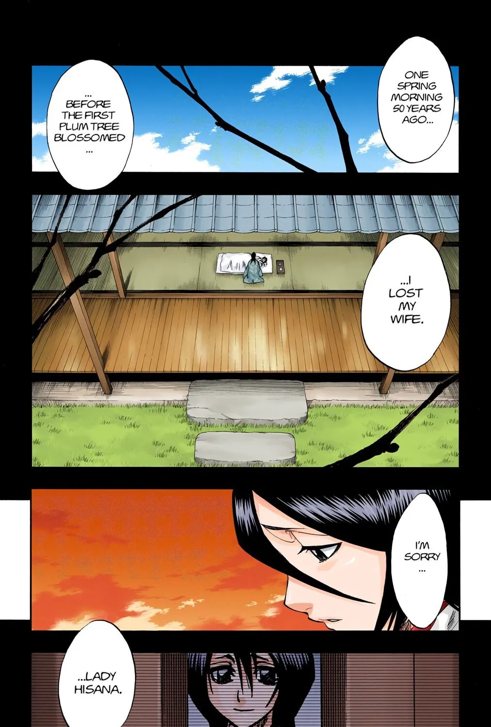 Bleach Colored Manga, chapter 179, page 19