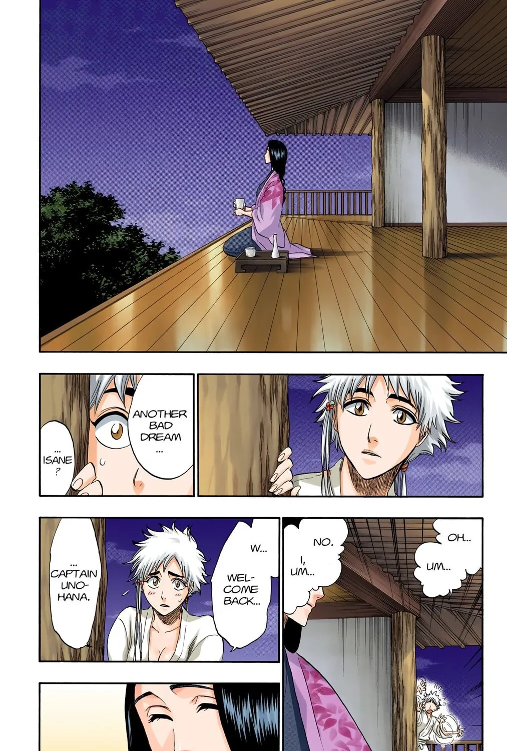 Bleach Colored Manga, chapter 179, page 39