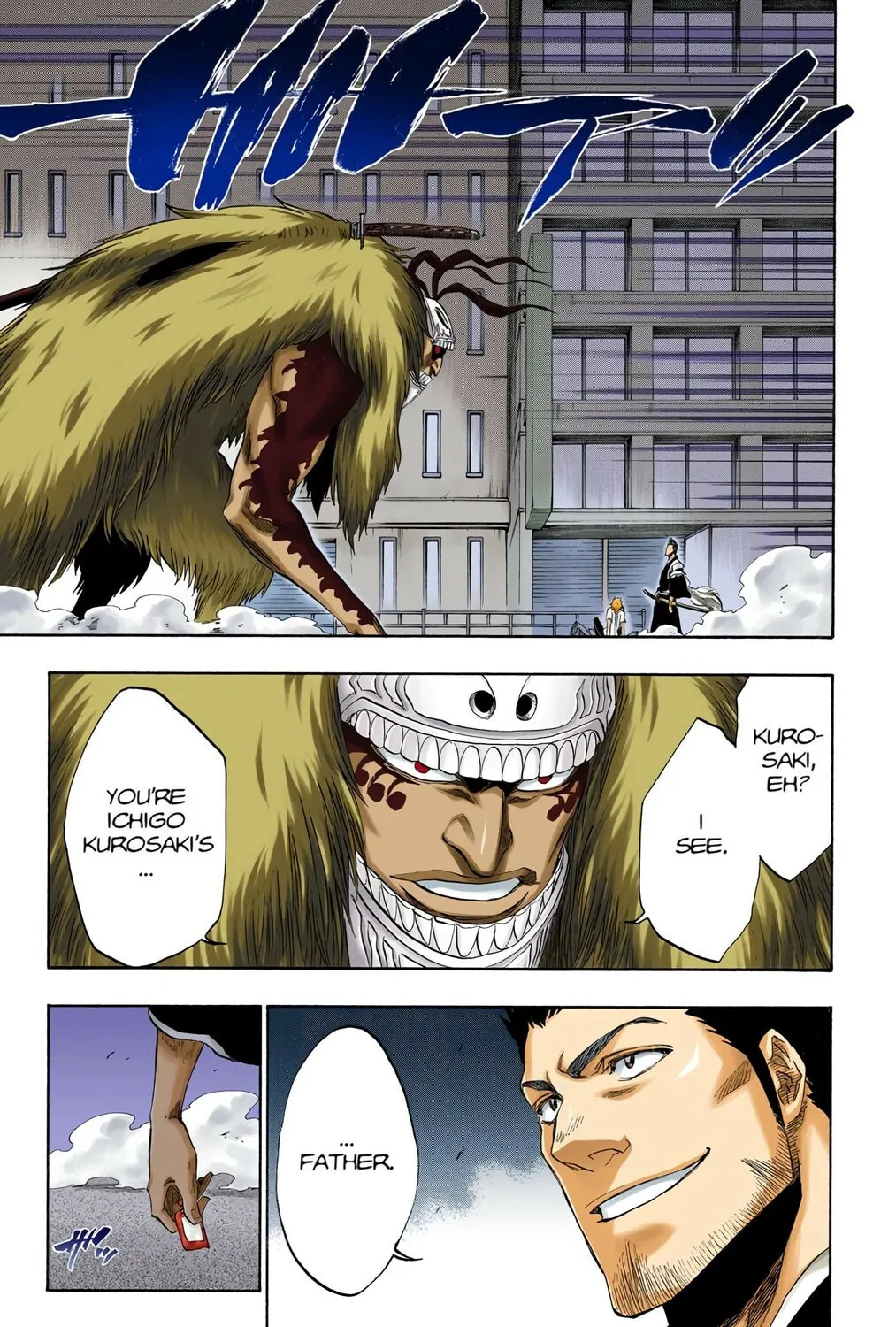 Bleach Colored Manga, chapter 187, page 13