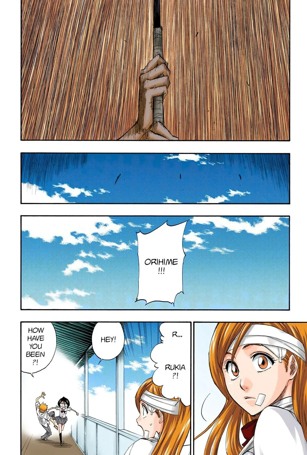 Bleach Colored Manga, chapter 196, page 31
