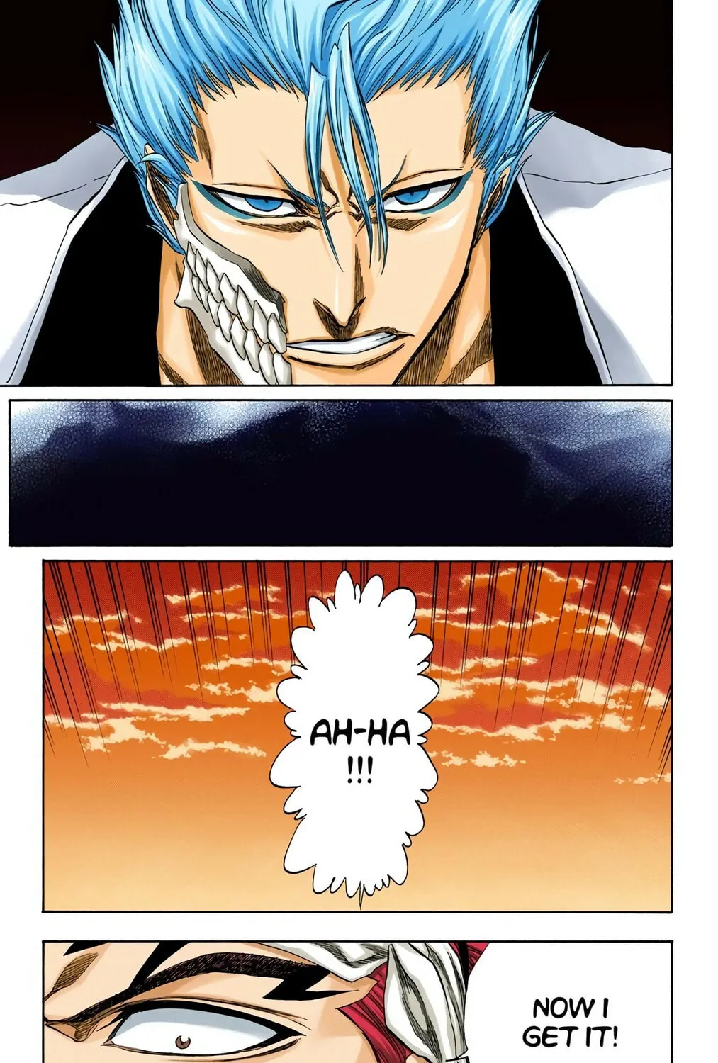 Bleach Colored Manga, chapter 198, page 17