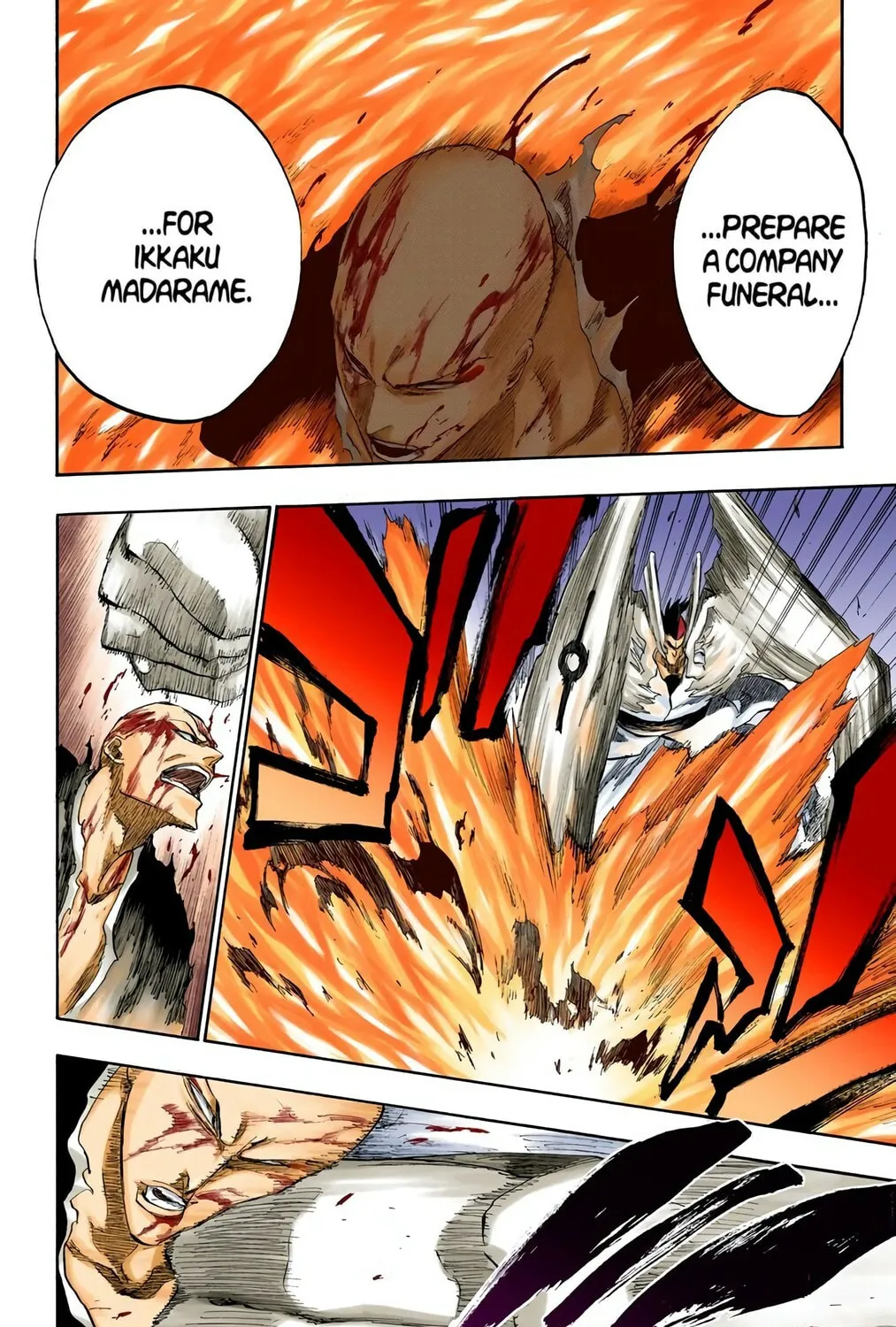 Bleach Colored Manga, chapter 204, page 25