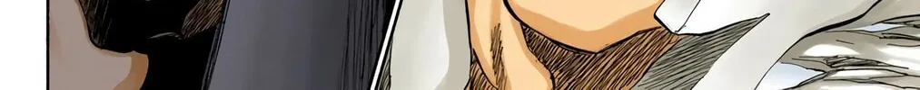 Bleach Colored Manga, chapter 205, page 22
