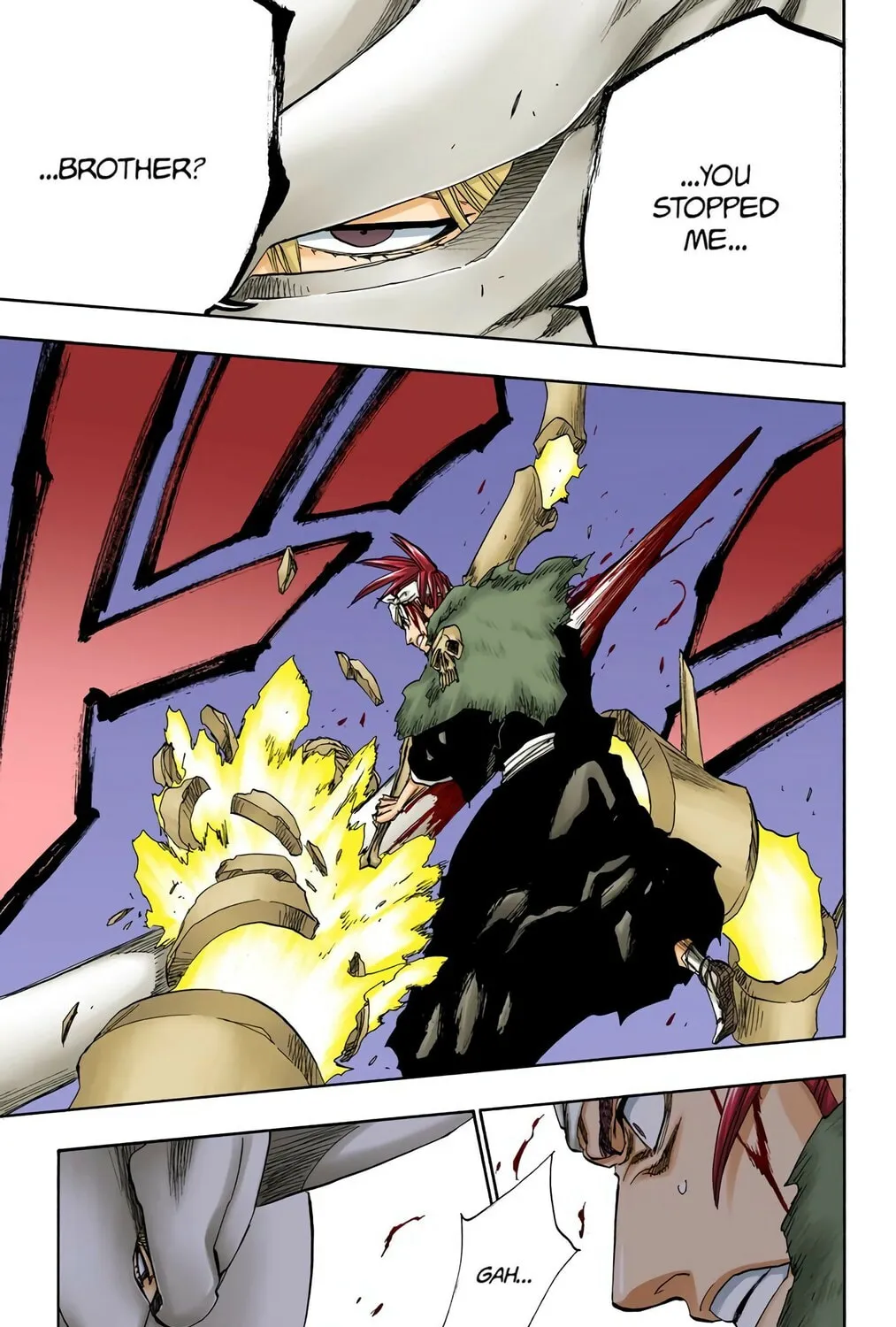 Bleach Colored Manga, chapter 208, page 9