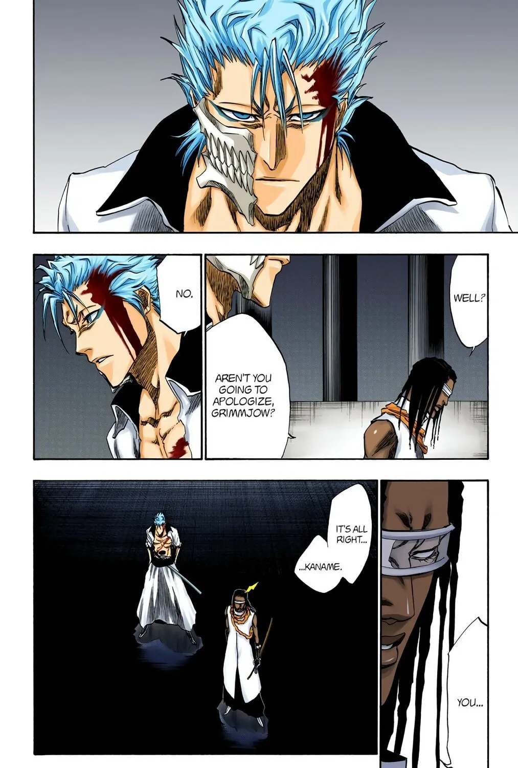 Bleach Colored Manga, chapter 213, page 19
