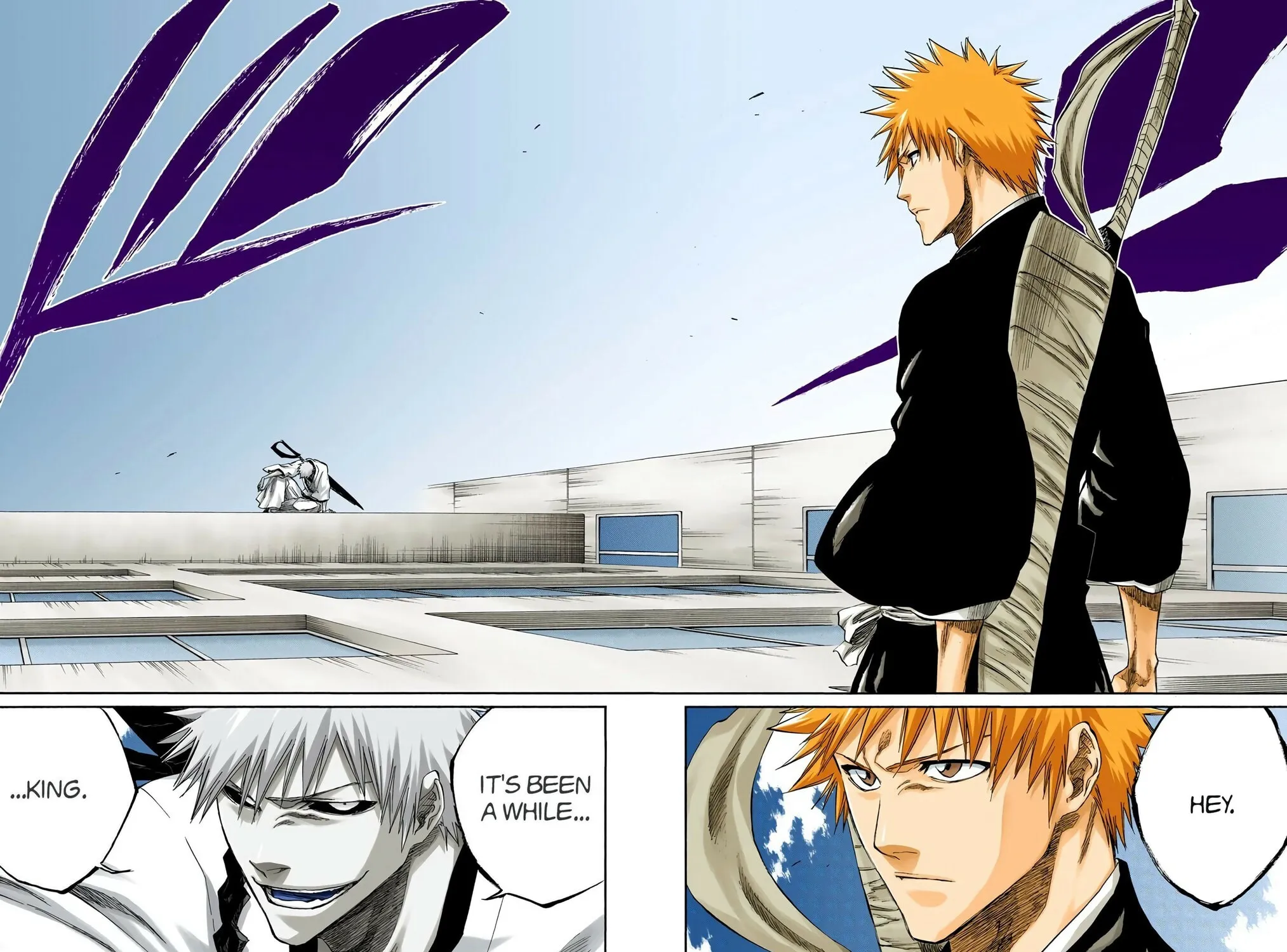Bleach Colored Manga, chapter 217, page 35