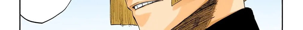Bleach Colored Manga, chapter 218, page 8