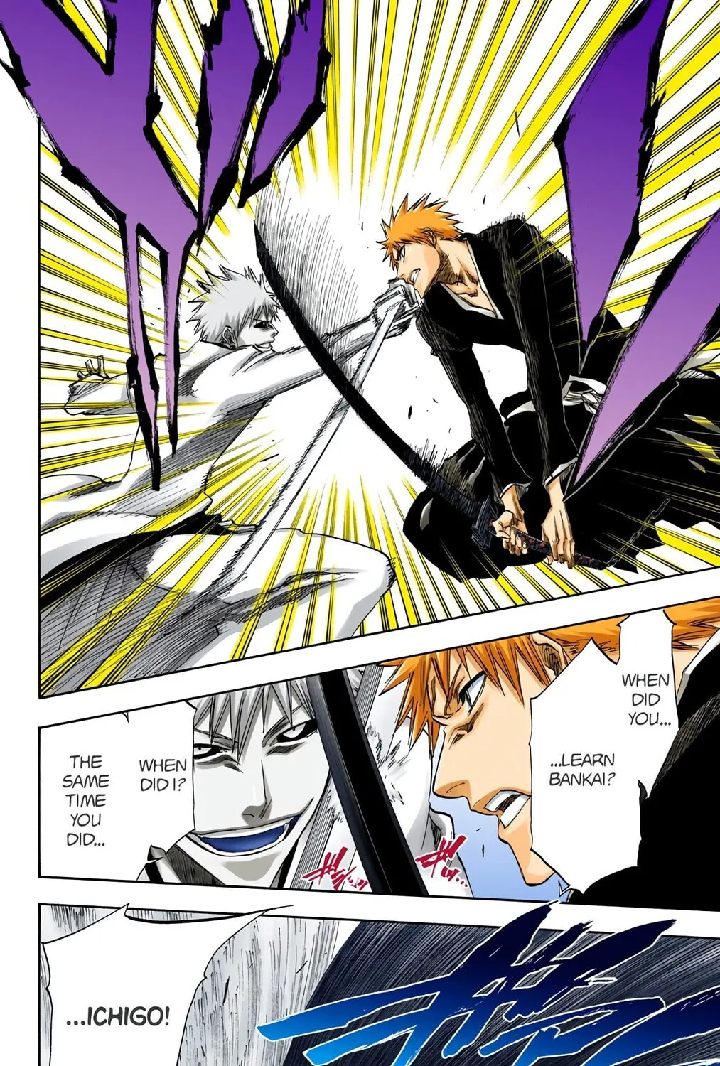 Bleach Colored Manga, chapter 219, page 13