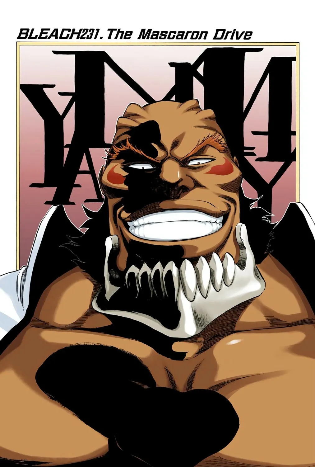 Bleach Colored Manga, chapter 231, page 3