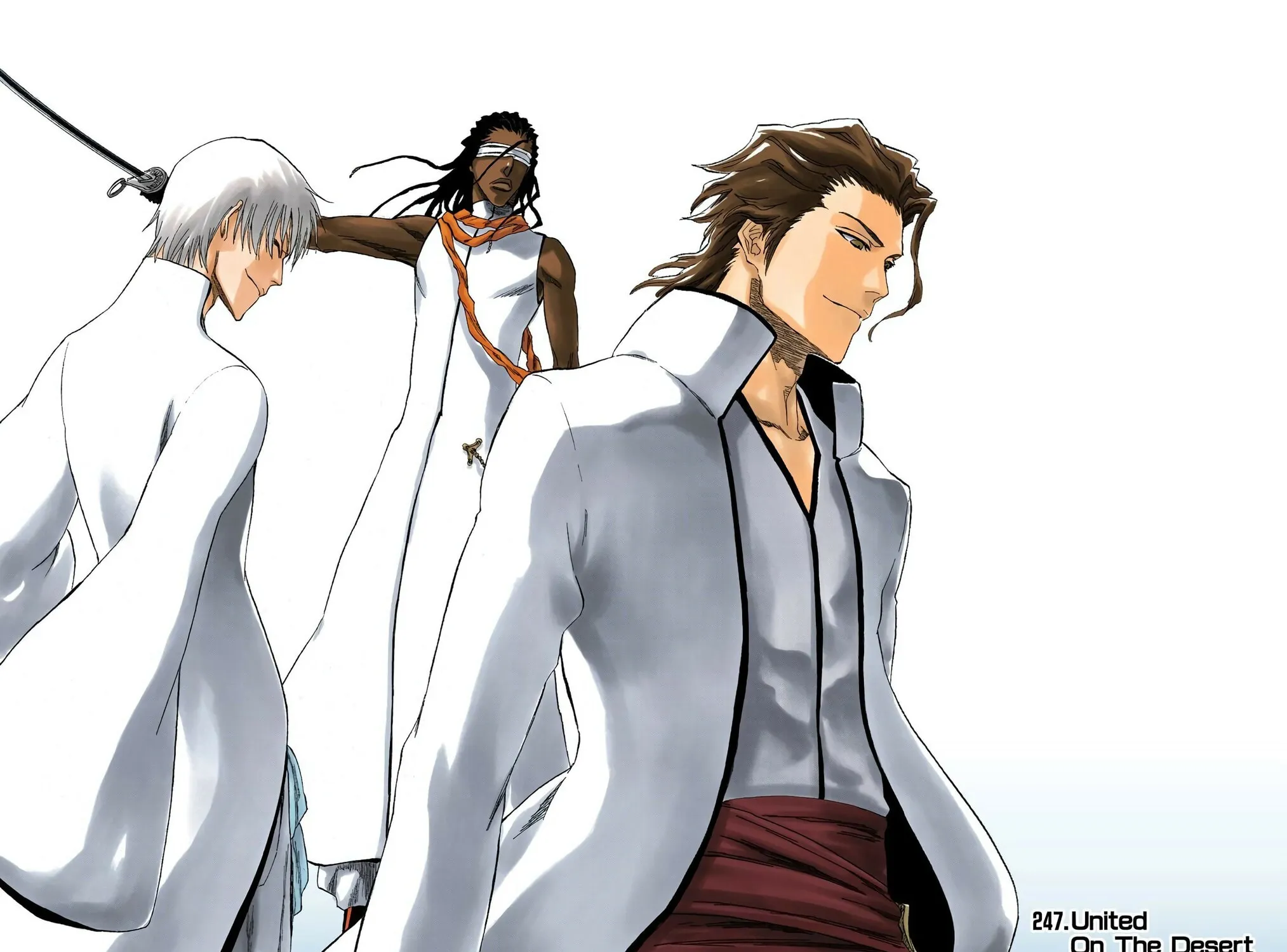 Bleach Colored Manga, chapter 246, page 45