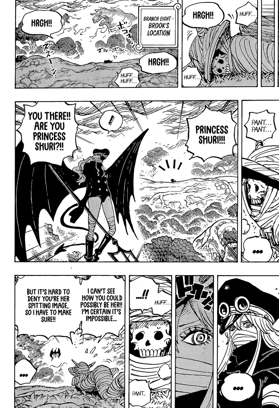 One Piece Manga, chapter 1173, page 5