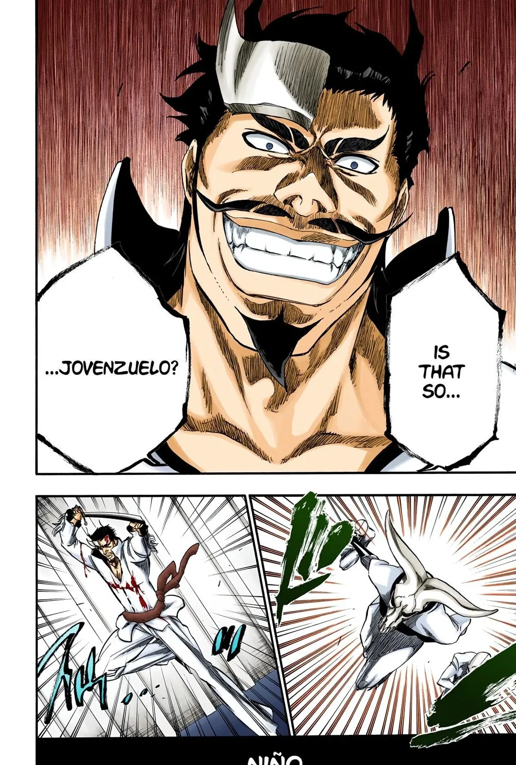Bleach Colored Manga, chapter 254, page 27